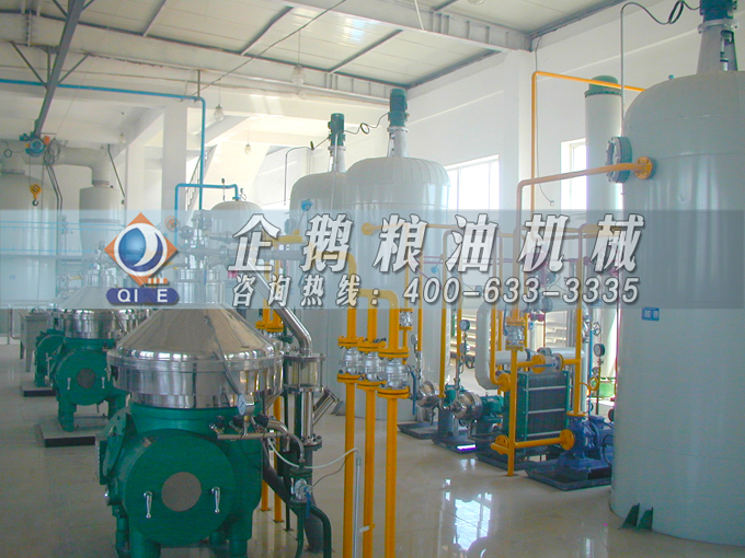 如何投資建設(shè)棕櫚油加工廠？企鵝糧油機械在線為您答疑解惑(圖2)