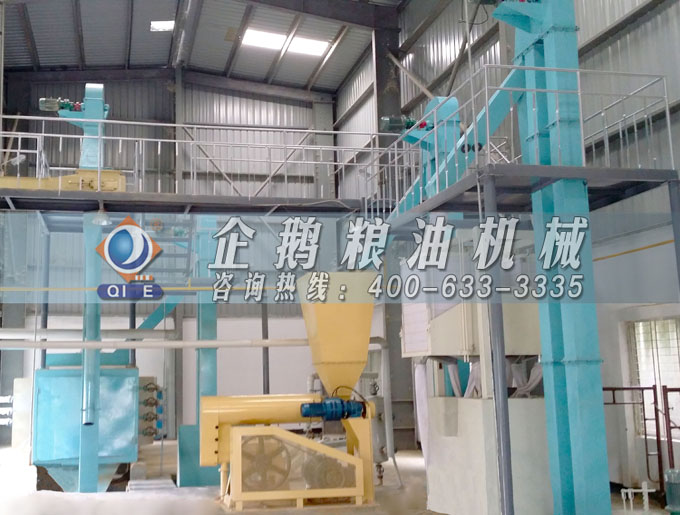 如何投資建設(shè)棕櫚油加工廠？企鵝糧油機械在線為您答疑解惑(圖4)