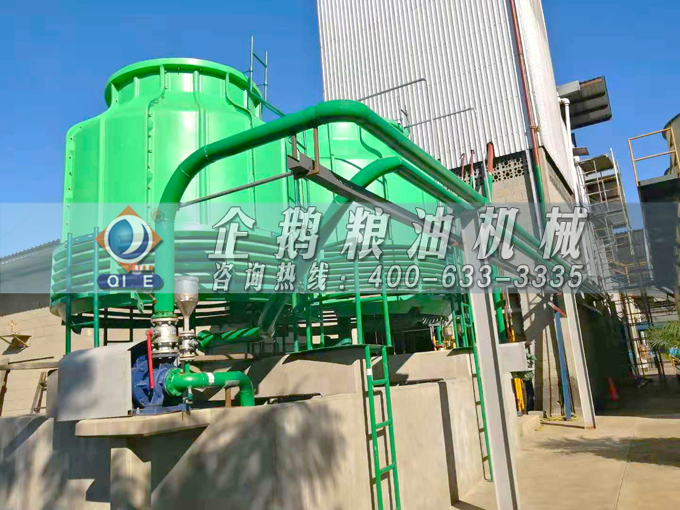 如何投資建設(shè)棕櫚油加工廠？企鵝糧油機械在線為您答疑解惑(圖3)
